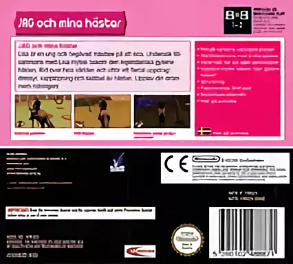 Image n° 2 - boxback : Real Adventures - Wild Horses